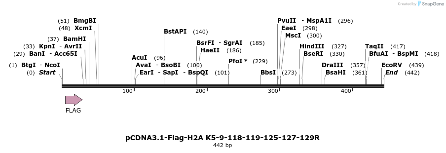 105695_map