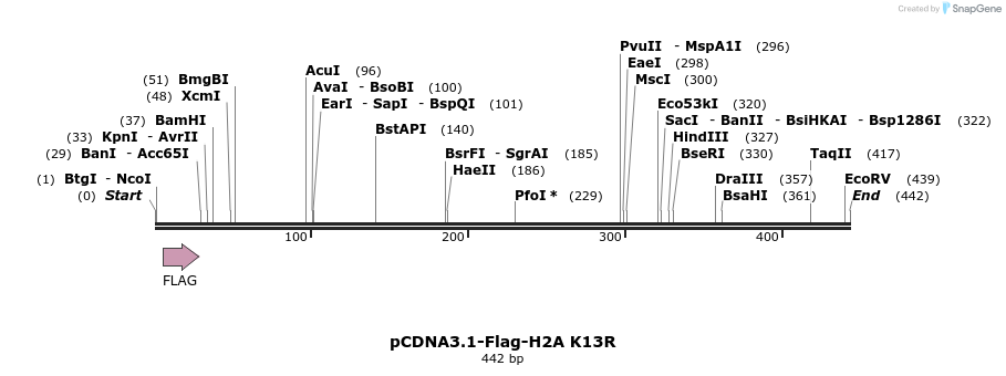 105696_map