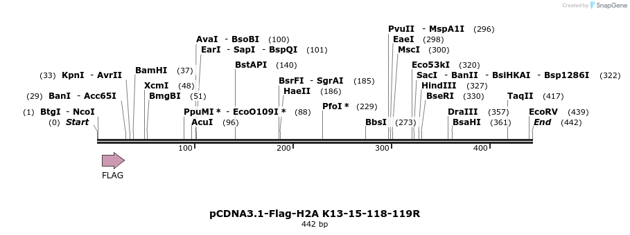 105700_map
