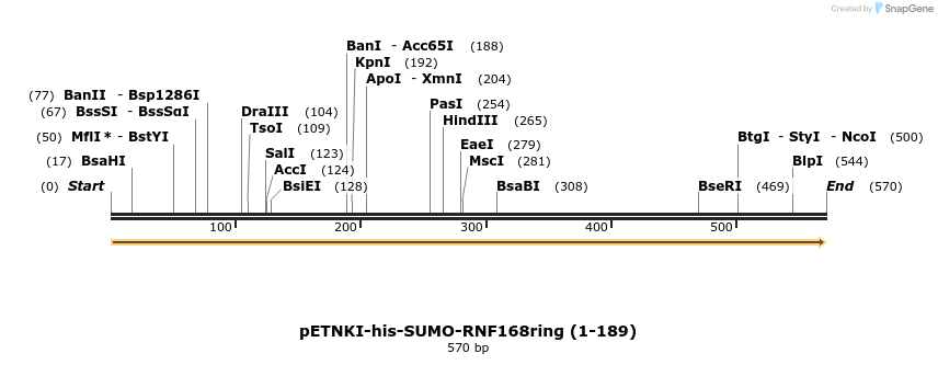 105702_map