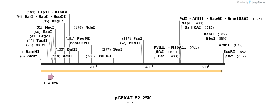 105707_map