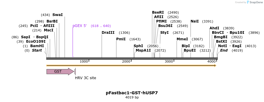 105709_map