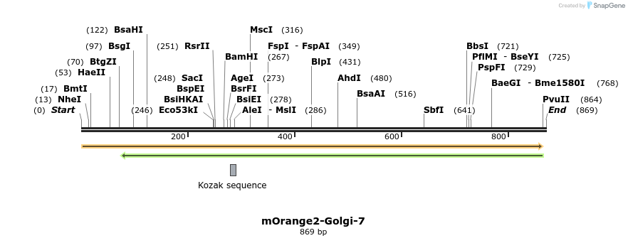 105722_map