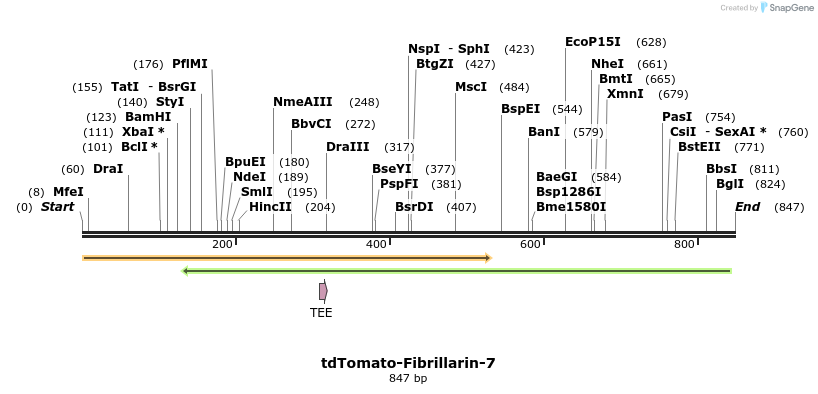 105723_map