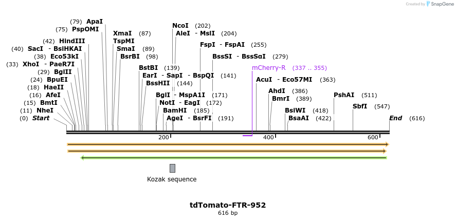 105726_map