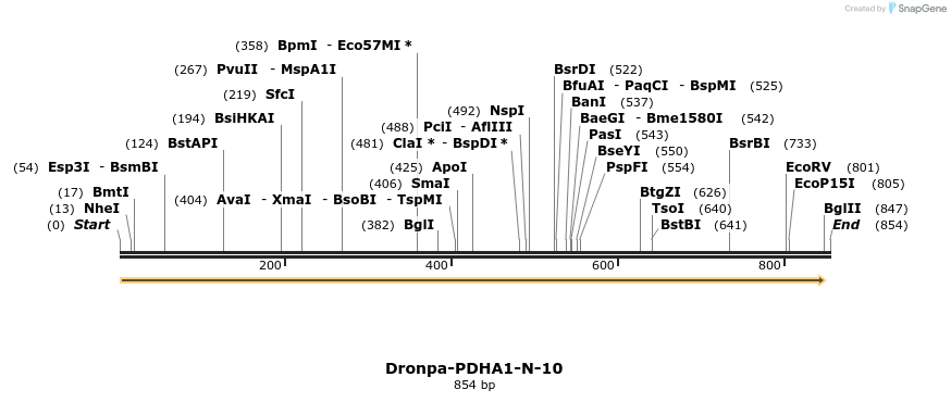 105727_map