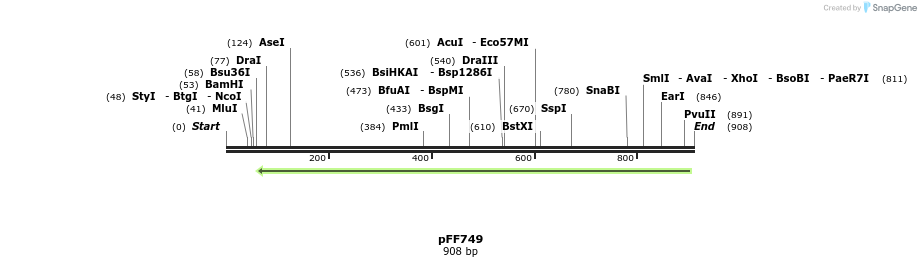 105732_map