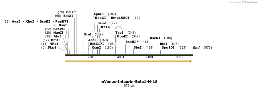 105736_map
