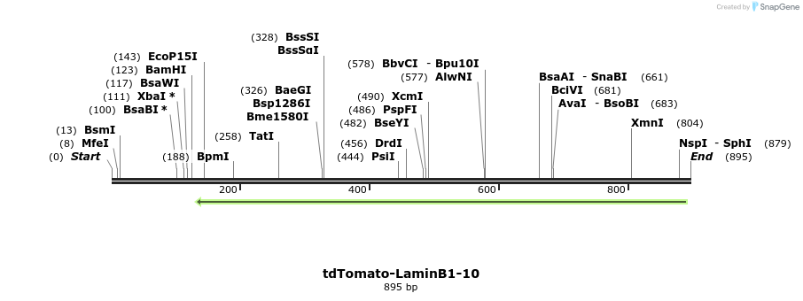 105740_map
