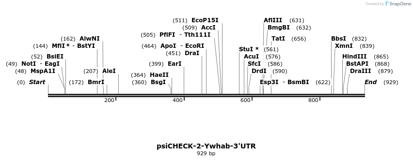 105753_map