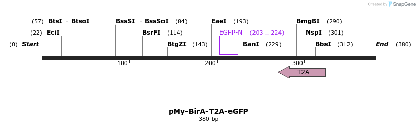 105774_map