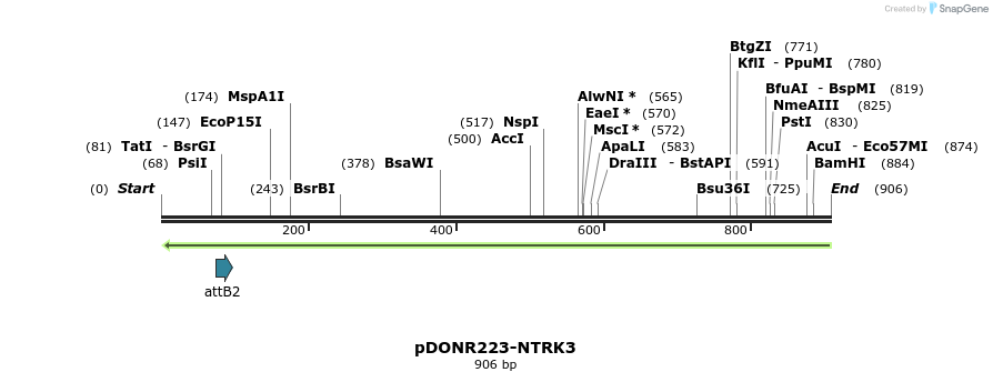 105776_map