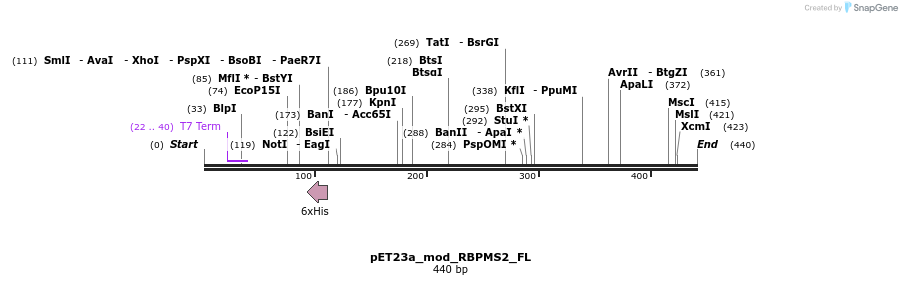 105777_map