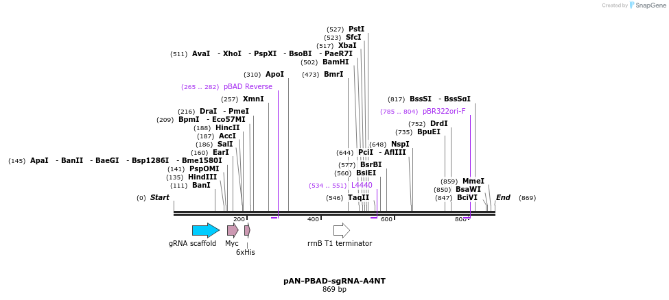 105790_map