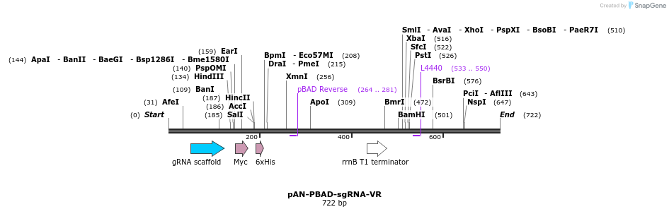 105799_map