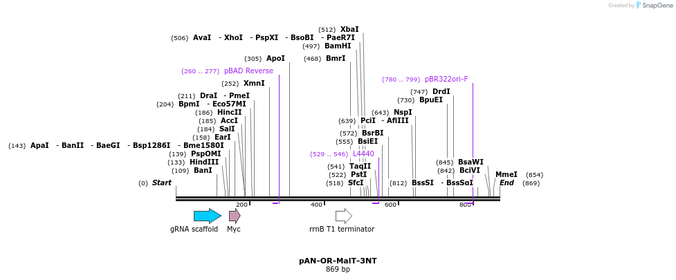 105800_map