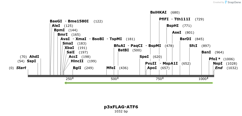 105801_map