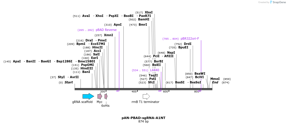 105805_map