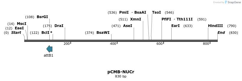 105813_map