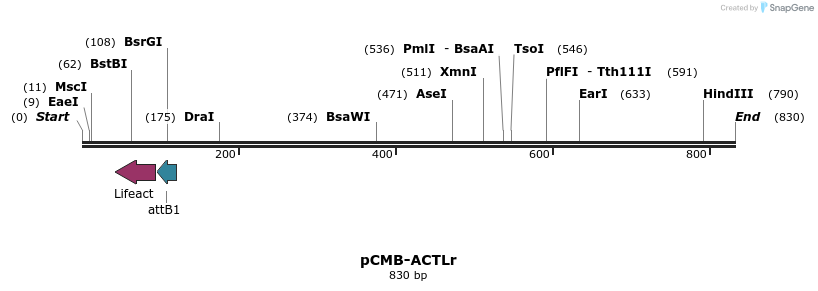 105815_map