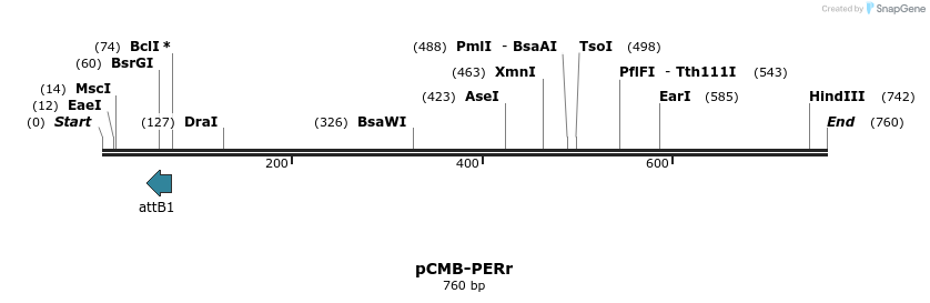 105828_map