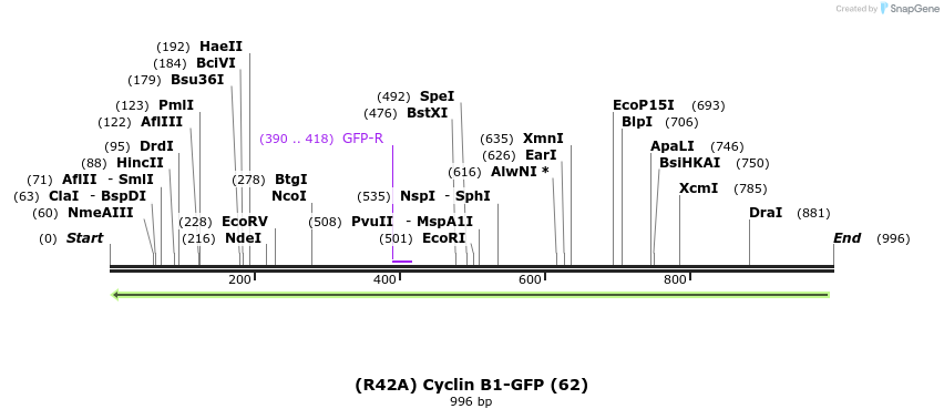 105829_map
