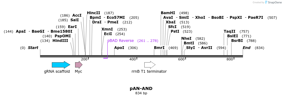 105844_map