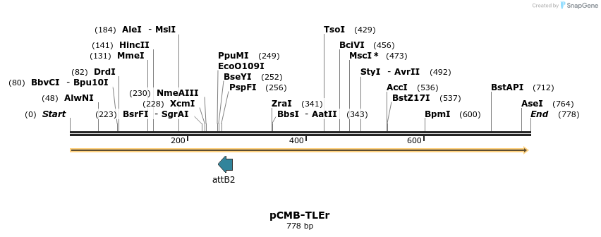 105846_map