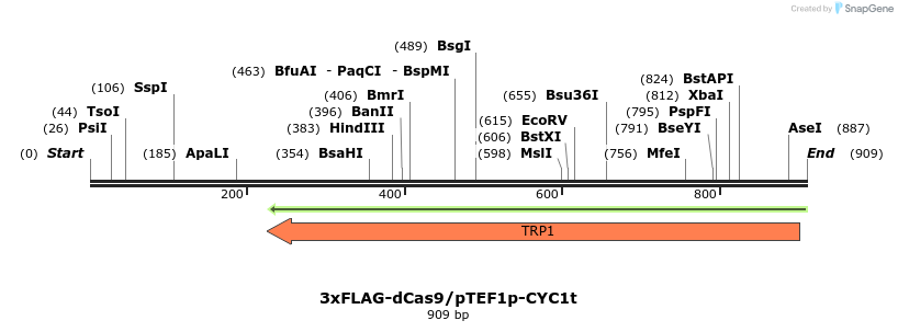 105851_map