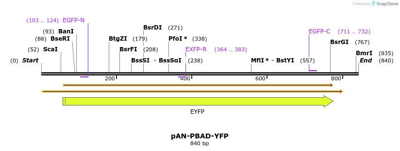 105865_map