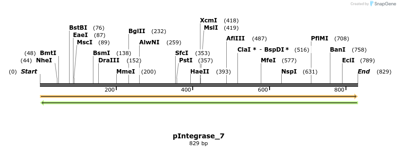 105866_map
