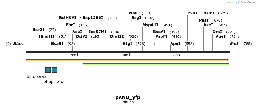105869_map