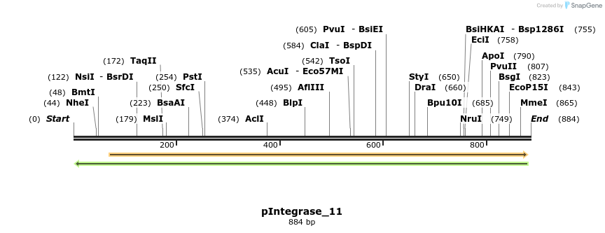 105875_map