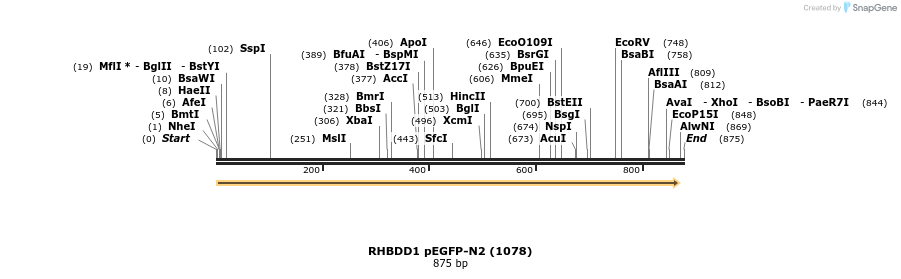 105889_map