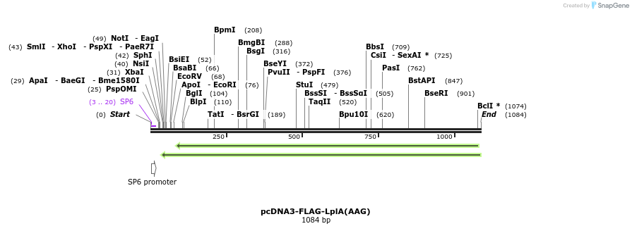 105890_map