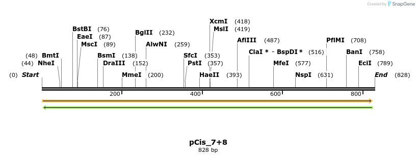 105896_map