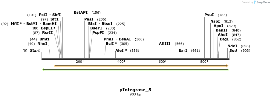 105897_map