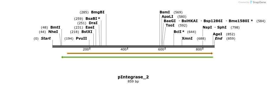 105898_map