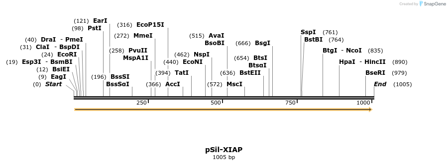 105899_map