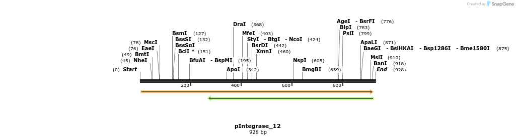 105900_map