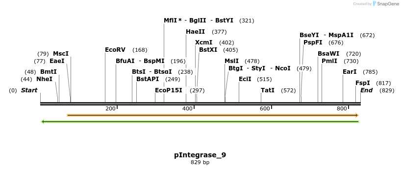 105901_map