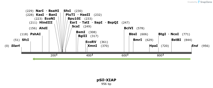 105902_map