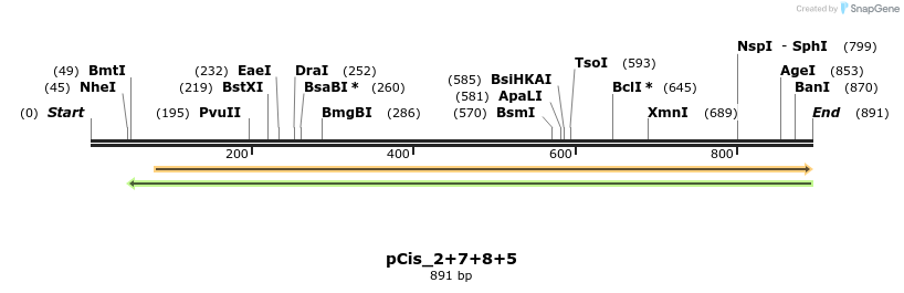 105904_map