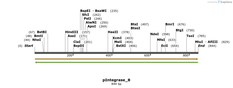 105907_map