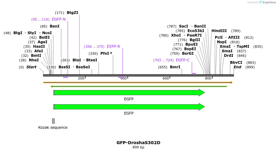 105914_map