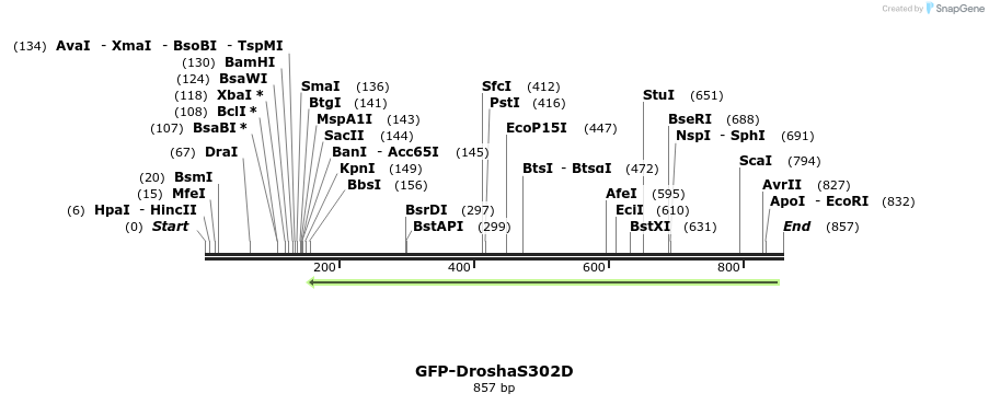 105916_map