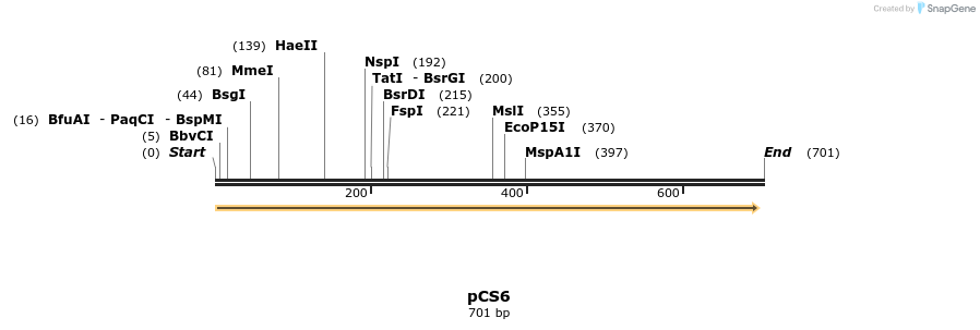 105918_map