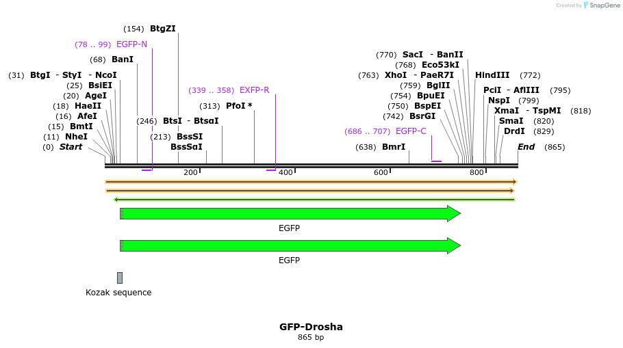 105919_map
