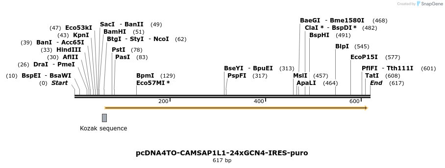 105924_map