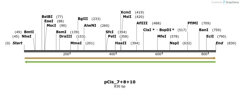 105926_map